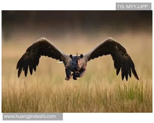 如果足球巨星化身动物世界会有哪些奇妙的对决与传奇故事 如果足球巨星化身动物世界会有哪些奇妙的对决与传奇故事